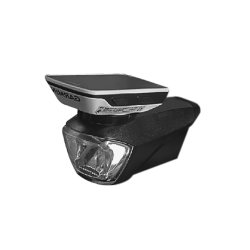 Luz De Tallo De Dragón